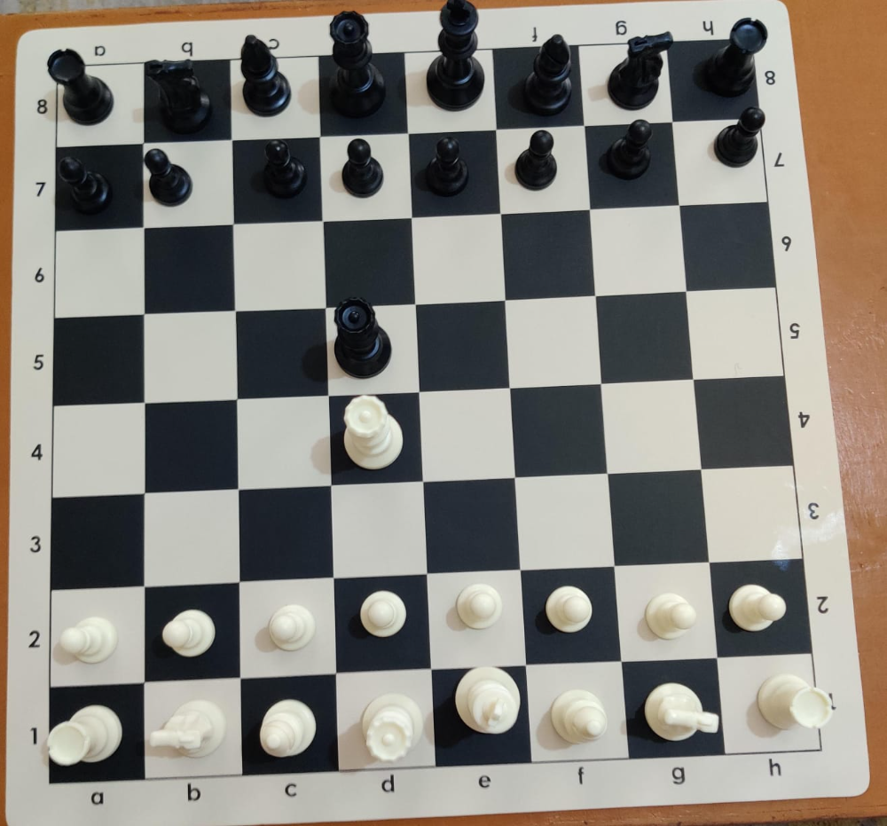 Vinyl Chess Set 